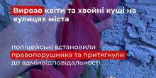 Свежие новости: Вирвав квіти та хвойні кущі на вулицях міста: у Миколаєві поліцейські встановили правопорушника