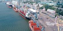 Свежие новости: Николаевский морской порт сократил грузооборот на 24%