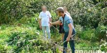 Фото новости: У жителя Вознесенщины изъяли полкилограмма каннабиса и 78 кустов конопли Свежие новости: У жителя Вознесенщины изъяли полкилограмма каннабиса и 78 кустов конопли