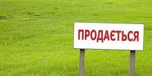 Свежие новости: На Николаевщине на торгах продали право аренды 11 земельных участков на сумму ₴7 миллионов