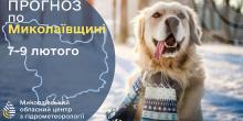 Свежие новости: Синоптики оприлюднили прогноз погоди на 7–9 лютого на Миколаївщині