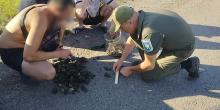 Фото новости: На Миколаївщині чоловік руками виловив 188 раків Свежие новости: На Миколаївщині чоловік руками виловив 188 раків