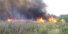 Свежие новости: На Харьковщине женщина сжигала сухую траву и сама в ней сгорела