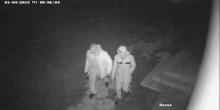 Свежие новости: В Арбузинке украли гирлянду с городской елки. ВИДЕО