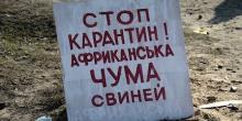 Свежие новости: В Березанском районе выявили вспышку АЧС