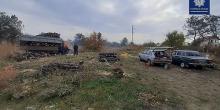 Свежие новости: В Варваровке патрульные выявили мужчин, которые без документов пилили деревья