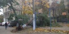 Фото новости: ВИДЕО: В Николаеве вузовское общежитие осталось без света из-за падения дерева на электроопору Свежие новости: ВИДЕО: В Николаеве вузовское общежитие осталось без света из-за падения дерева на электроопору