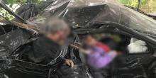 Фото новости: Под Киевом произошло страшное ДТП - много погибших Свежие новости: Под Киевом произошло страшное ДТП - много погибших