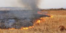 Свежие новости: Масштабные пожары на Луганщине спровоцировал фермер, который не хотел перепахивать землю