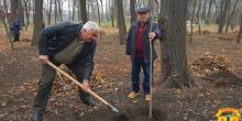 Свежие новости: В Первомайську відбулась акція з висадки молодих дерев