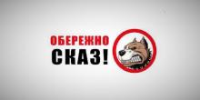 Свежие новости: У Миколаєві тварини продовжують масово кусати людей