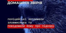 Свежие новости: На Миколаївщині чоловік жорстоко вбив собаку і кота: поліція повідомила про підозру