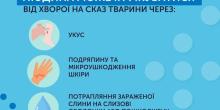 Свежие новости: У Миколаєві епідеміологи попереджають про загрозу сказу