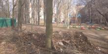 Фото новости: В Николаеве работники ЖКХ выбрасывают мусор из баков в парке Свежие новости: В Николаеве работники ЖКХ выбрасывают мусор из баков в парке