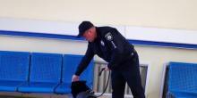 Свежие новости: В Одесском аэропорту снова ищут взрывчатку