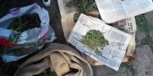 Фото новости: В Вознесенском районе мужчина дома выращивал коноплю для собственного употребления Свежие новости: В Вознесенском районе мужчина дома выращивал коноплю для собственного употребления