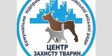 Свежие новости: КП «Центр защиты животных» призвал николаевцев помочь продуктами питания для животных