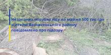 Фото новости: Житель Вознесенщины вырубил деревья почти на полмиллиона гривен Свежие новости: Житель Вознесенщины вырубил деревья почти на полмиллиона гривен