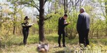 Свежие новости: В Одесской области в лесу нашли повешенную 15-летнюю студентку