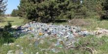 Фото новости: Жители Коблево обнаружили свалку отходов в лесу, но селькоммунхоз вывезти мусор не может Свежие новости: Жители Коблево обнаружили свалку отходов в лесу, но селькоммунхоз вывезти мусор не может