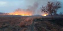 Свежие новости: На Николаевщине за сутки выгорело более 5 га сухой травы и камыша