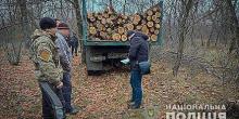 Свежие новости: Полицейские вручили подозрение за организацию незаконной вырубки на Николаевщине