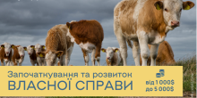 Свежие новости: ВПО та мешканці Вознесенського району можуть отримати до 5000 доларів на розвиток власної справи