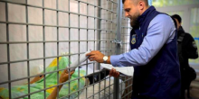 Свежие новости: Удар по виставці зброї на Київщині: затримано організатора заходу