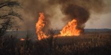 Фото новости: Масштабный пожар на Южном Буге - браконьеры подожгли камыш Свежие новости: Масштабный пожар на Южном Буге - браконьеры подожгли камыш