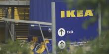 Свежие новости: Компанию IKEA поймали на продаже мебели из незаконно вырубленных в украинских Карпатах деревьев, — расследование
