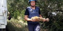 Свежие новости: В Николаевской области спасатели обезвредили боеприпасы прошлых войн