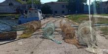 Свежие новости: Вблизи Одессы морская охрана обнаружила браконьерские сети