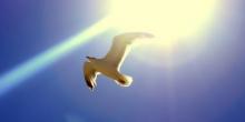 Свежие новости: В Украину возвращается солнечная погода