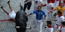 Свежие новости: В Испании во время забегов быков пострадали 28 человек