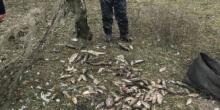 Свежие новости: В Первомайском районе поймали браконьера, наловившего рыбы почти на 10,5 тыс. грн.