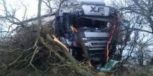 Свежие новости: На Николаевщине грузовик врезался в дерево, которое сломалось и упало на авто