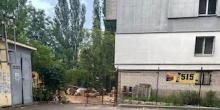 Свежие новости: У дворі житлових будинків організували бізнес з продажу дров