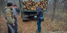 Свежие новости: В лесах под Баштанкой выловили банду «черных дровосеков»
