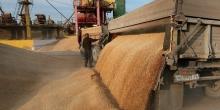 Свежие новости: Украина намолотила почти 63 млн тонн зерновых
