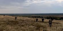 Свіжі новини: На Вознесенщині зник хлопчик: тривають масштабні пошуки