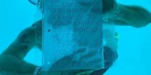 Свежие новости: Американець потонув під час освідчення під водою. Наречена зняла на відео останні секунди його життя