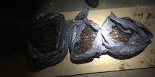 Свежие новости: ВИДЕО: Турок пытался вывезти в Польшу 30 кг янтаря