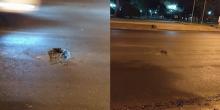 Свежие новости: Сенкевич ответил на публикации в соцсетях о ямах на асфальте