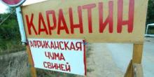 Фото новости: Ветеринарная полиция в Украине - новшество Свежие новости: Ветеринарная полиция в Украине - новшество