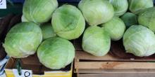 Фото новости: Цены в Николаеве: арбузы — по 2, капуста — от 8 гривен Свежие новости: Цены в Николаеве: арбузы — по 2, капуста — от 8 гривен