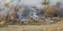 Свежие новости: На Николаевщине выгорело более 17,5 га сухостоя