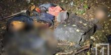 Свежие новости: В Кривом Роге в кустах обнаружили обезглавленное тело мужчины