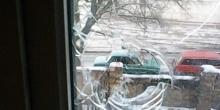 Фото новости: Глава Кривоозерской РГА, которого подозревают во взяточничестве, заявил, что ему ночью стреляли в окно Свежие новости: Глава Кривоозерской РГА, которого подозревают во взяточничестве, заявил, что ему ночью стреляли в окно