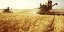 Свежие новости: Хлібороби Миколаївщини намолотили 1,3 млн тонн зерна нового врожаю