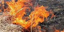 Фото новости: На Николаевщине горела сухая травы Свежие новости: На Николаевщине горела сухая травы